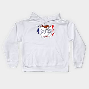 Tear Away Iowa Flag Kids Hoodie